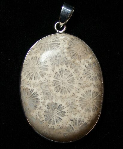 Large Fossil Coral Sunburst Pendant #8522